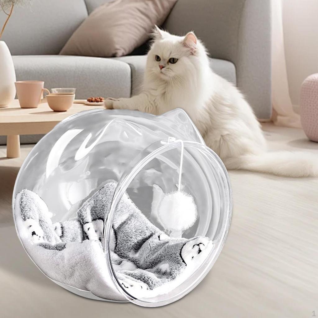 Space Capsule Cat Bed Stable Activity Center House for Kitten Cats Kitty Without Flannel Door