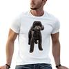 Toy Poodle Gorgeous Mini Dog T-Shirt Man Graphic T Shirt Anime Tshirt Man Tshirt T-shirt