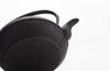 Nanbu Ironware Oigen Iron Kettle Shinonome Kogiku 1.0L H-310 Direct Flame/IH Compatible Made in Japan Kogiku Nanbu Iron Kettle Oigen Casting