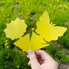 Sun Butterfly Double-Sided Yellow Insect Trap: Sticky Lure Board for Flies & Insects