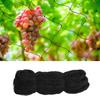 Heavy Duty Nylon Bird Net Garden Protection Net, Protects Fruit Trees, Plants and Vegetables 100ft X 50ft
