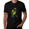 Meyers Parrot Watercolor Tshirt Basic Casual Wear Short Sleeve Top