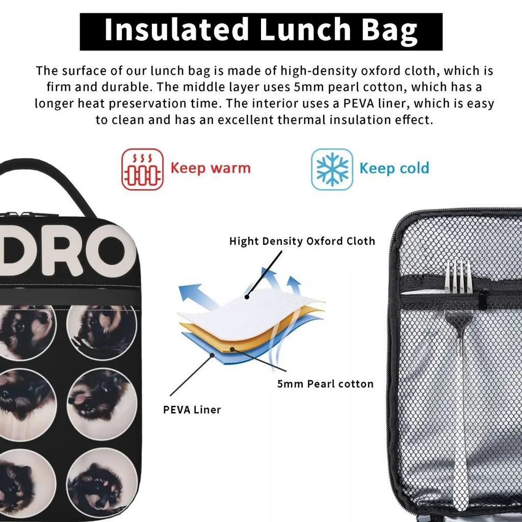 Pedro Racoon Dance Popular Internet Meme Insulated Lunch Bag for Men Women Food Container Portable Cooler Thermal Lunch Boxes