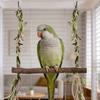 Wooden Parrot Swing Natural Stick Perch with Green Faux Leaves Bird Cage Perch Chew Toy for Parrot Cages Cockatiels Parakeets