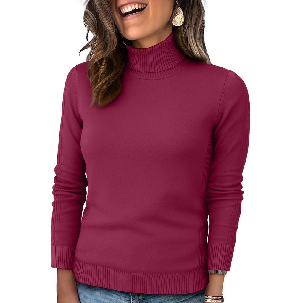 Women's Knitted Solid Color Long Sleeved High Neck Pullover Top
