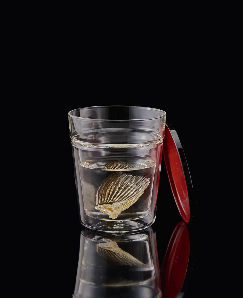 HARIO Glass Fin Sake Cup (1 Cup) GHK-180