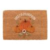 Autumn Days Hello Pumpkin Door Mat