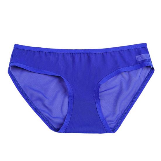 Women Sheer Mesh Transparent Thongs Sexy See Through Underwear Ladies Low Rise Cheeky Panties Ultra-thin Stretchy Briefs