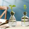 Kreativní váza Skleněná hydroponická váza na semena Skleněná váza Váza na avokádo Domácí dekorace na stůl Hydroponická ozdoba Milovníci zahradničení