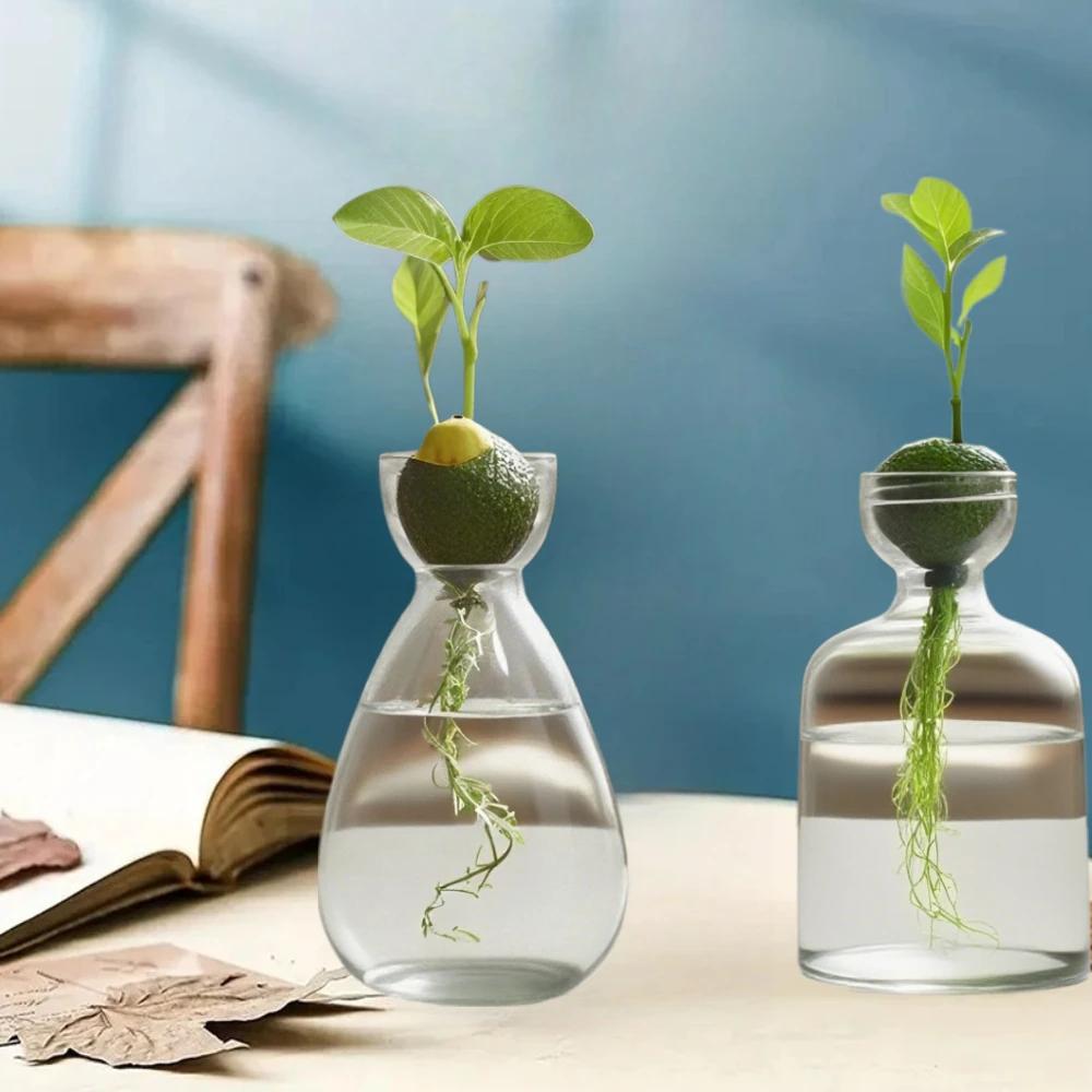 Kreativní váza Skleněná hydroponická váza na semena Skleněná váza Váza na avokádo Domácí dekorace na stůl Hydroponická ozdoba Milovníci zahradničení