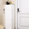 New Home Shoe Cabinet, 2026 Trending Corridor Storage Unit, Simple Small Space Shoe Rack, Narrow Single-Door Storage Shelf