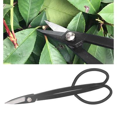 Ciseaux à Bonsaï en Acier Inoxydable Ciseaux à Élaguer Légers Ciseaux de Jardinage Pour Plantes en Pot