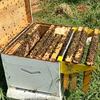 Beehive Frame Holder, Bee Hive Stand, Metal Beehive Frame Perch, Beekeeping Beehive Inspection Bracket, Bee Hives Boxes Starter Kit for Beekeeping