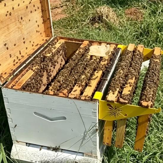 Beehive Frame Holder, Bee Hive Stand, Metal Beehive Frame Perch, Beekeeping Beehive Inspection Bracket, Bee Hives Boxes Starter Kit for Beekeeping