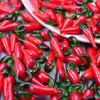 10Pcslot Three Dimensional Chili Peppers Charms For Jewelry Making Supplies Enamel Charm Handmade Earrings Necklace Diy Pendant