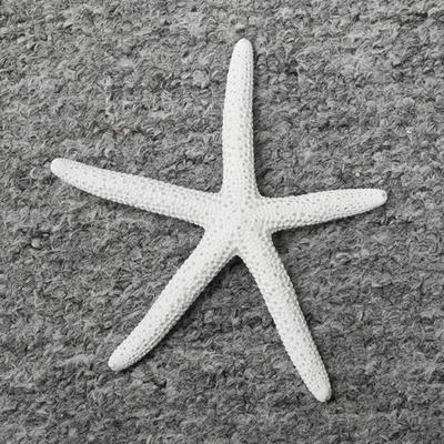 Artificial Starfish Solid Beach Color Decorative Resin Starfish Coastal Nautical Ornament for Wedding