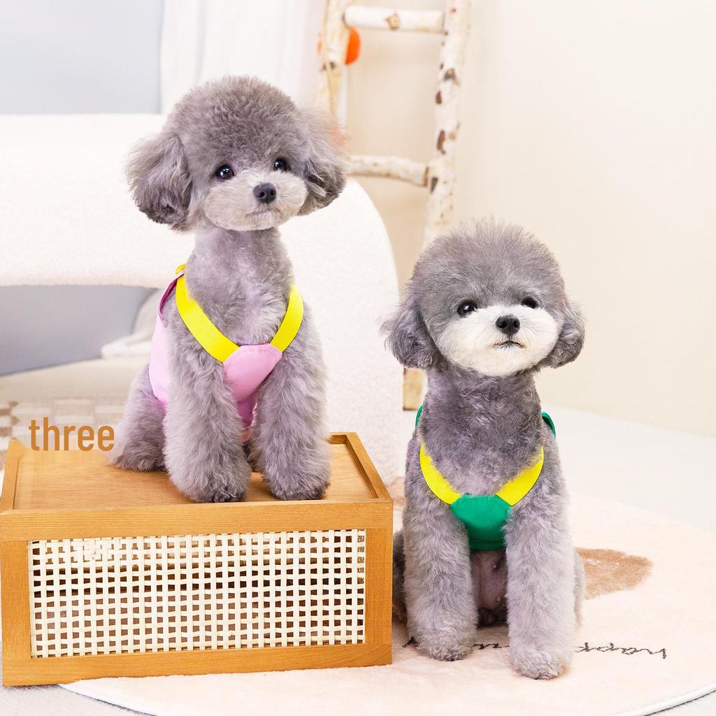 Embroidered Dog Vest: Spring/Summer Pet Harness with Letter Design