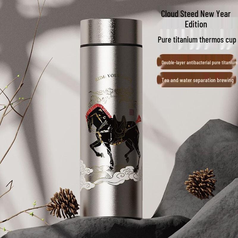 BEMEGA 500ML Insulated Tea Infuser Bottle