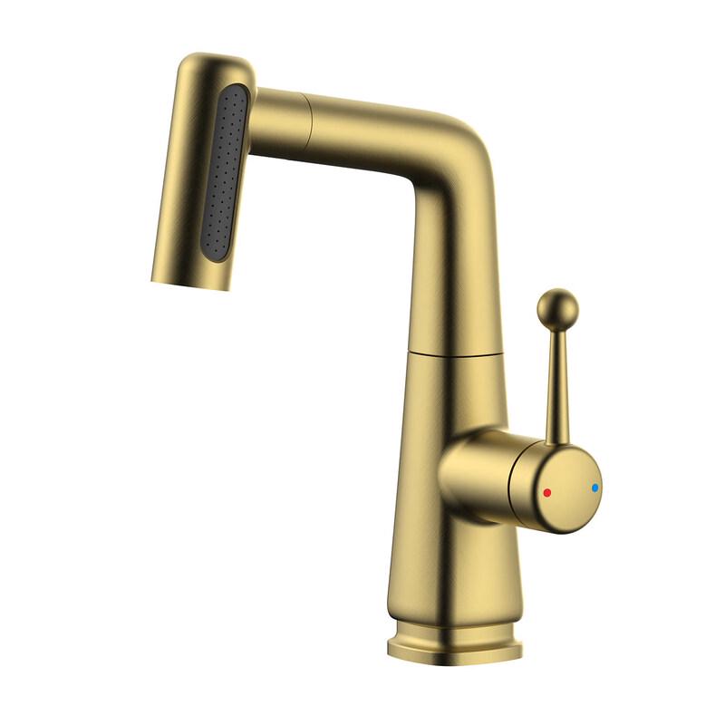 TaiJuFu Brushed Gold Pull-Out Basin Faucet