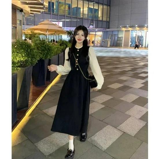 2026 Spring Elegant Hepburn Style Long Sleeve French Bubble Dress