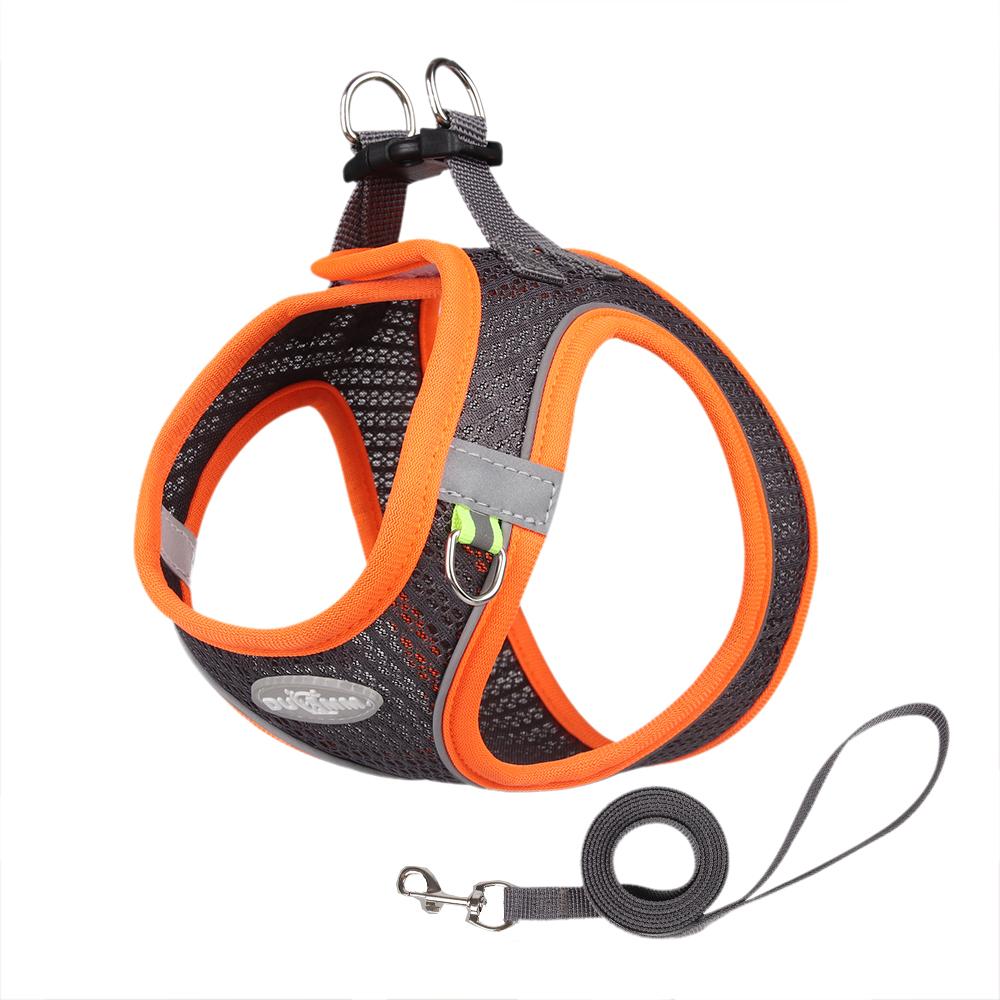 

Легкий дышащий комплект шлейки и поводка для маленьких собак, жилет для выгула щенков, шлейки для йорков, мальтийских болонок, талисманов, аксессуары XXS-Suit 1.5-2.5kg