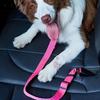 A Dog Seat Belt Designed for Vehicle Safety, Suitable for Securing Pets In The Car, Including Harnesses for Cats And Dogs