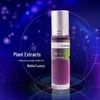 Car Aromatherapy Ornaments with Essential Oil Refill, 10ml, Multi-Fragrance