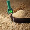 Digital Cereal 14 Hygrometer Kinds Grain Moisture Meter Voice Alarm Metal Probe High Sensitivity