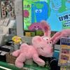 Little Rabbit Is Cute and Funny Plush Toy Cute Rabbit Gives Girlfriend Gift Doll