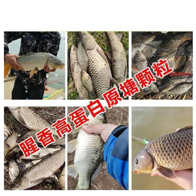 High Protein Black Pit Granular Bait for Wild Crucian Carp and Reservoir Fishing