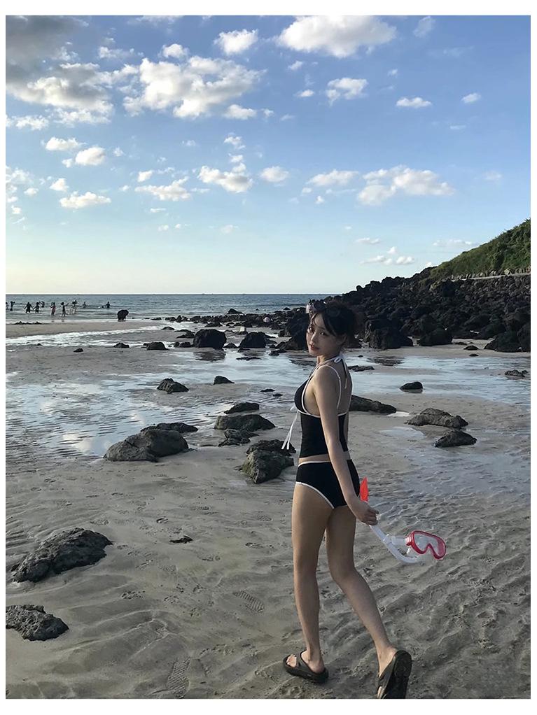 2026 New Women's Sexy Halter Solid Color Split Bikini Swimsuit