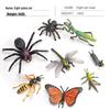 Wild Insect Model Toys: Poisonous Spider, Caterpillar, Butterfly, Mantis, Grasshopper, Dragonfly, Wasp Ornaments