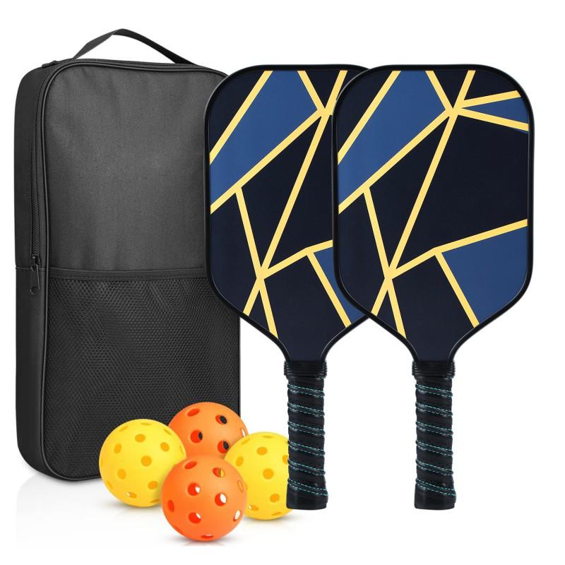 Glass Fiber Pickleball Paddle With Honeycomb Core Beach Sports Set Including Ball Picker Carry Case