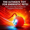 Durable Interactive Cat Toys for Indoor Cats, Rolling Ball Toy Compatible with Smart Automatic Chase Systems