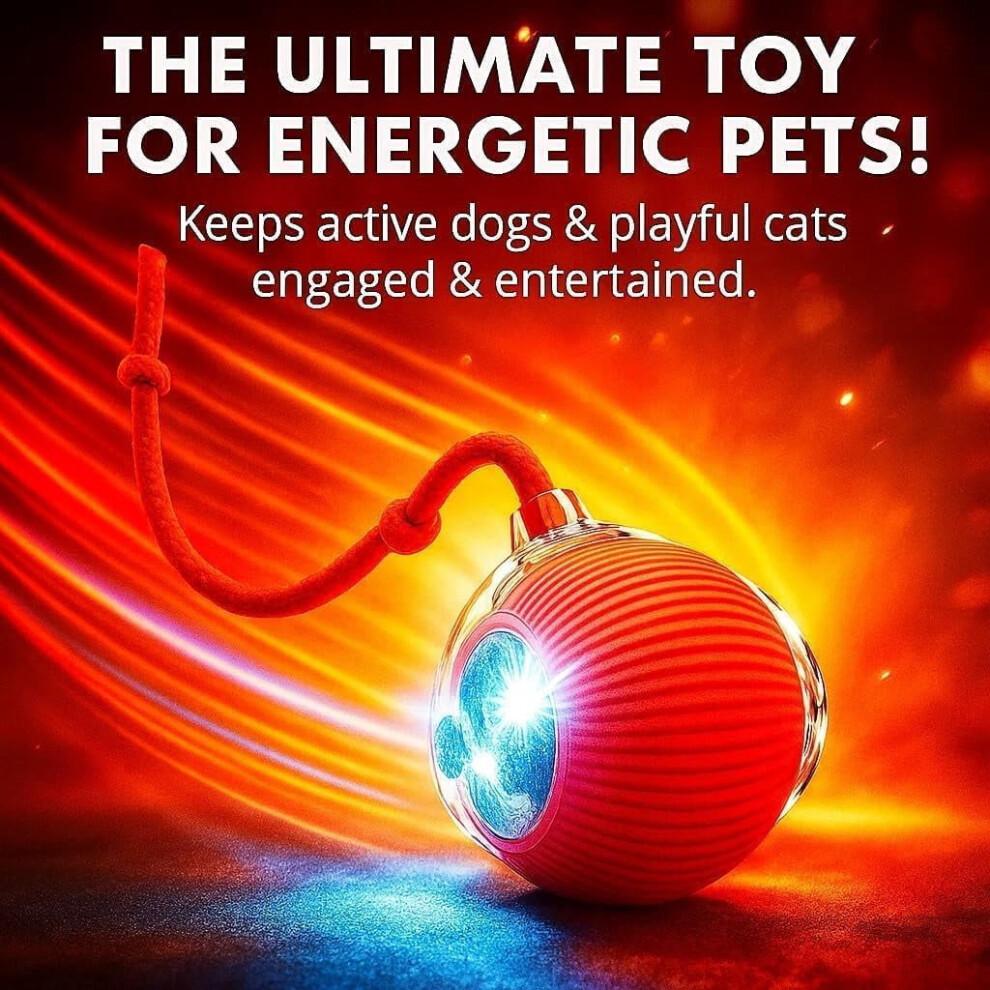 Durable Interactive Cat Toys for Indoor Cats, Rolling Ball Toy Compatible with Smart Automatic Chase Systems