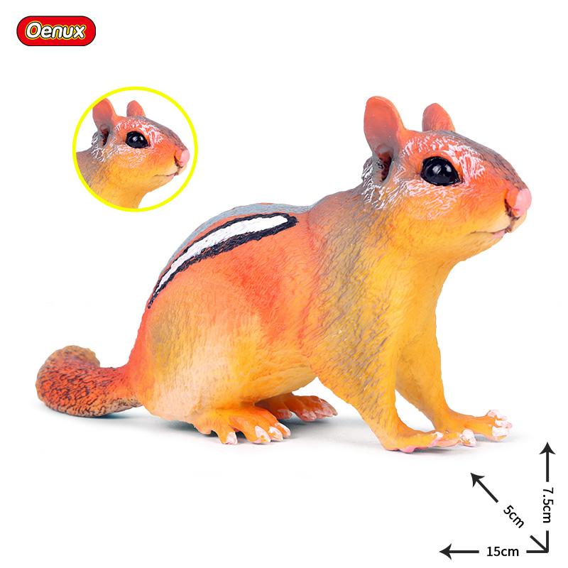 Oenux Simulation Wild Muroid Animal Squirre Mouse Sugar Glider lMarmot Rat Chinchilla Model Action Figures Lovely PVC Kids Toy