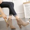 Ankle Boots for Women Autumn and Winter Short Boots Single Thick Heel High Heels Boots Woman Booties Rear Zipper