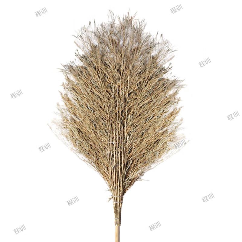 Heavy-Duty Bamboo Road Cleaning Broom