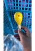 Kindergarten Percussion: Raw Wood Egg Shakers - Children's Musical Rattle Instruments
