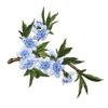 1 Pezzo Toppa Termoadesiva Ricamata Ramo di Fiori di Pesco Rosa Giallo Adesivo per Abbigliamento Borsa Decorazioni Fai da Te Accessori Applicazione