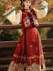Ming Dynasty-Inspired Hanfu Women's Embroidered Bijiya Stand Collar Mamian Skirt with Velvet - Autumn/Winter Set