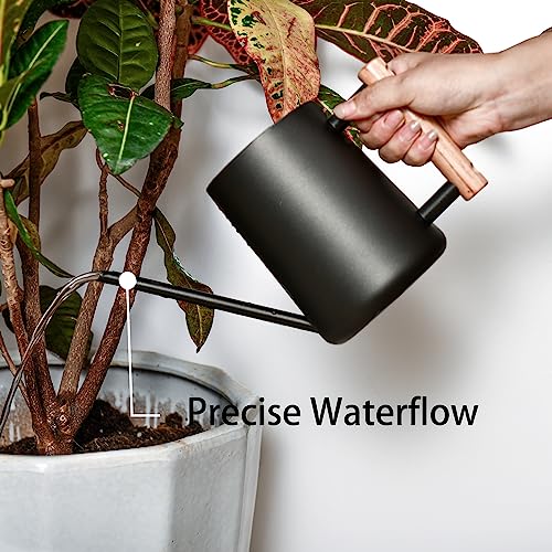 IMEEA Watering Can, 1000ml, Stainless Steel with Wooden Handle, Stylish Gardening Tool, Black