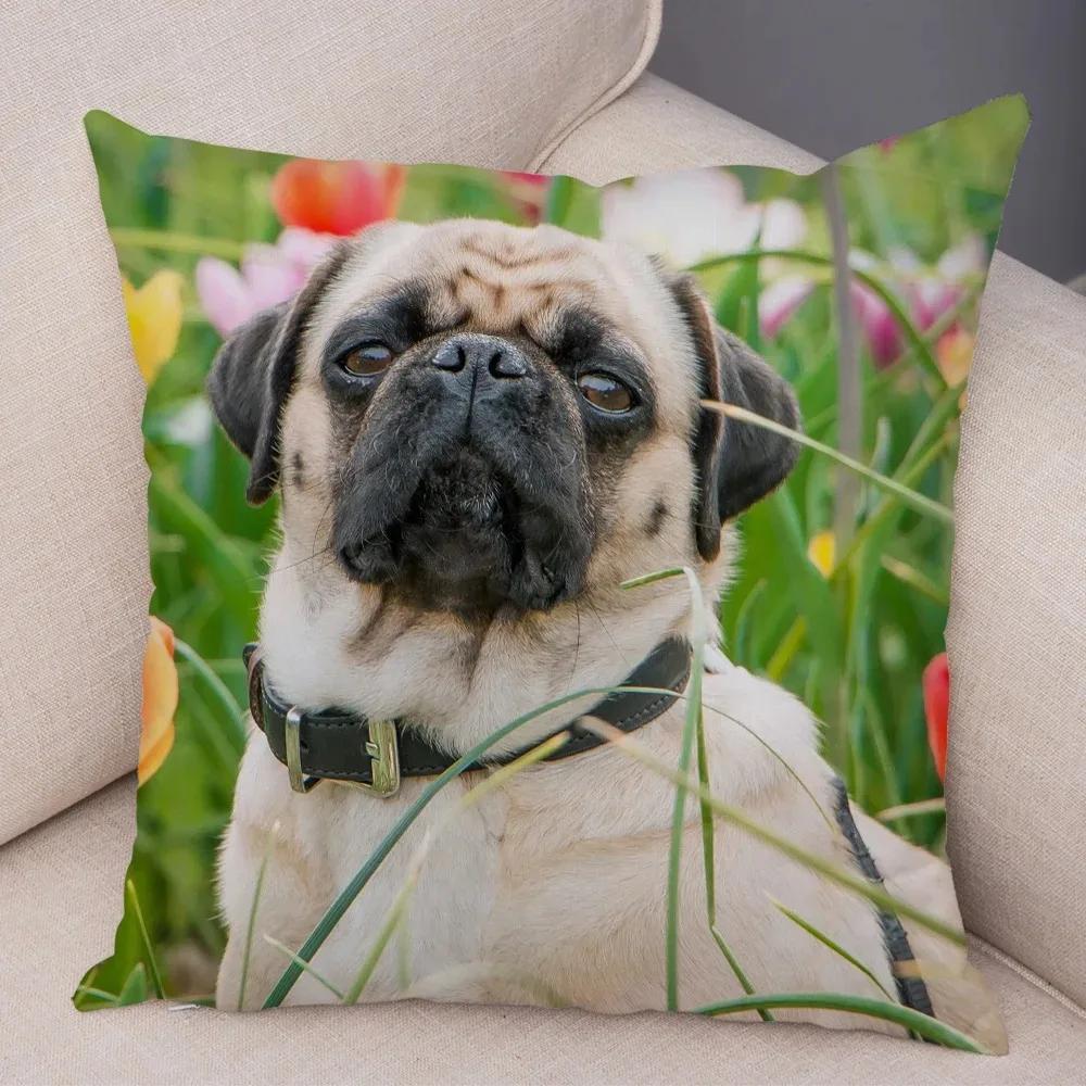 Soft and Cute Pug Series Double-sided Printed Decorative Pet Animal Pillowcases Suitable for Car Sofa Home Car Pillowcases