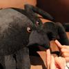 Peluche Bambola Ragno Nero Bambola Fatta a Mano Cartone Animato Anime Cuscino Carino Decorazione per la Casa Giocattolo Regalo di Compleanno per Bambini