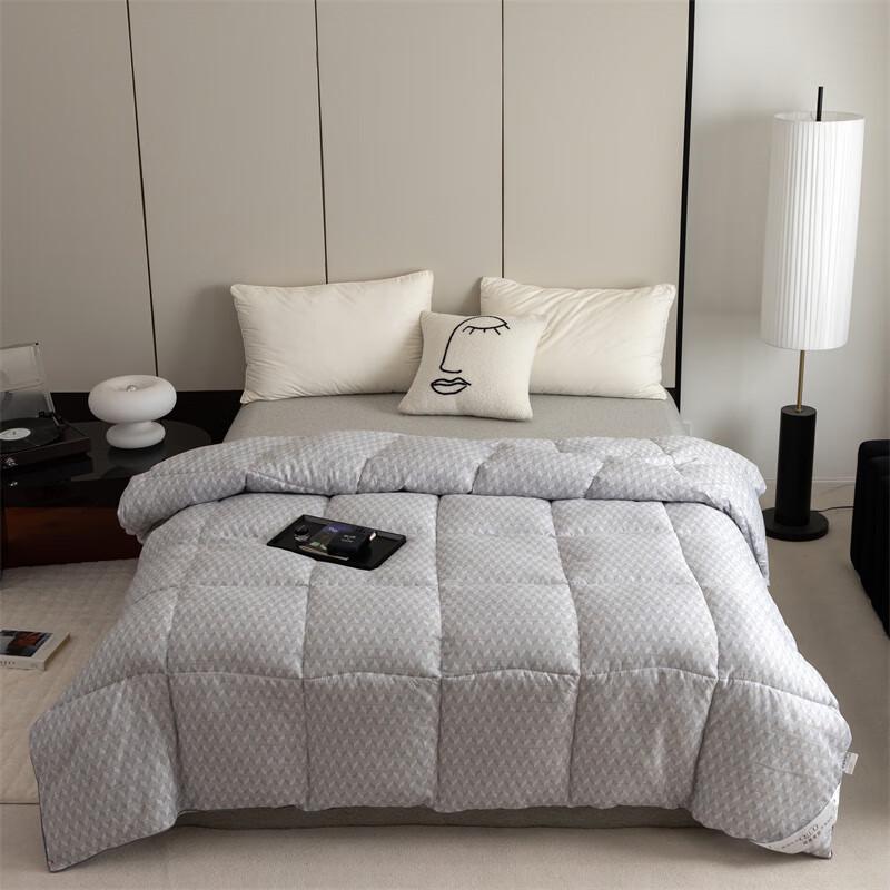 Qilu European Style All-Season Fiber Quilt