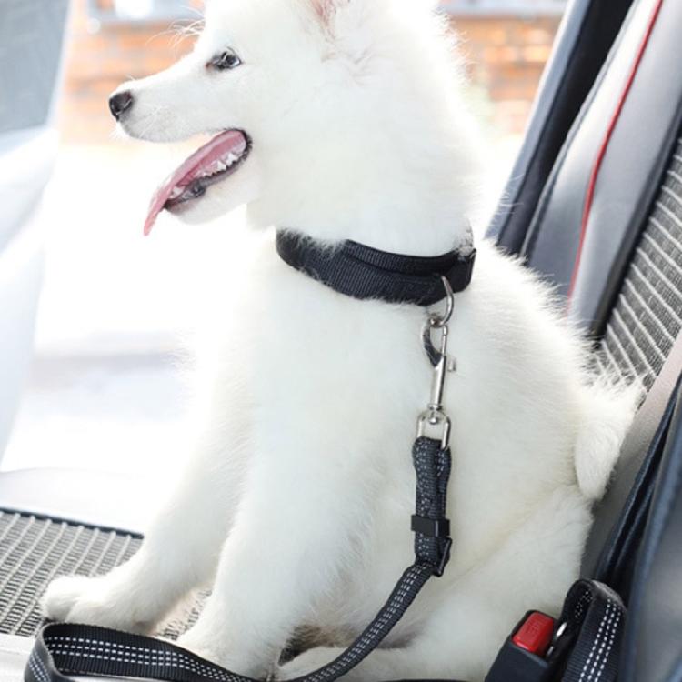 Pet Dog Car Seat Belt Clip Bungee Lead Vehicle Travel Safety Harness Adjustable