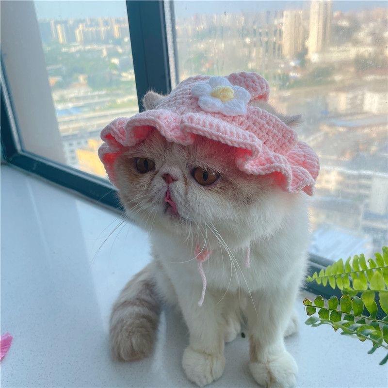 Pet Cat Headgear Popular Personalized Cospaly Headgear Funny Transformation Suit Dog Knitted Hat