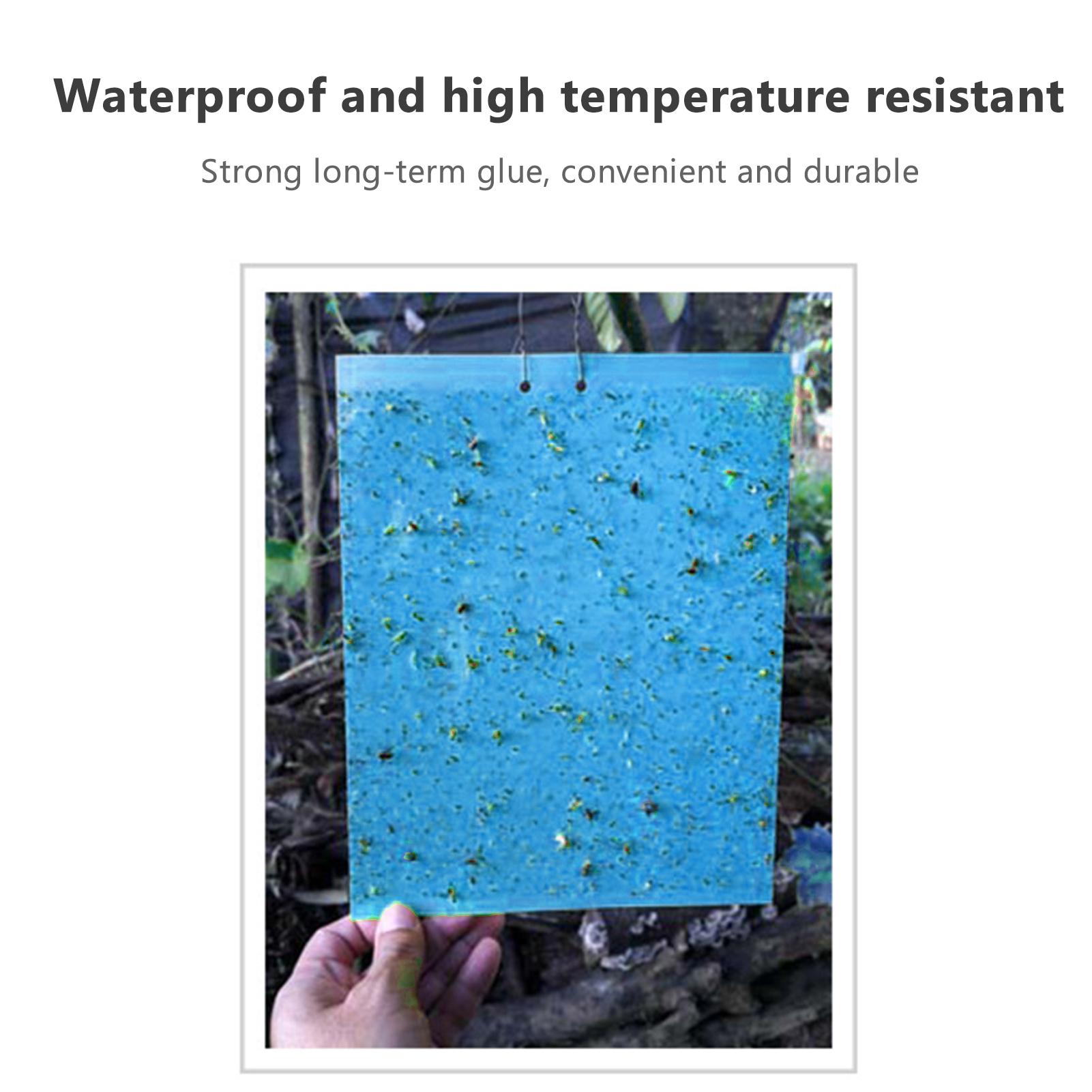 

Sticky Traps for Flying Plant Insect Fungus Gnats 20pcs 20*25cm Dual Sided Flying Insect Traps can be Cut blue-20X10cm