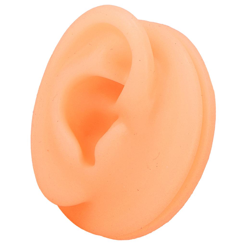 Silicone Ear Acupuncture Practice Model Reusable Simulation Ear Display Model False Ear Model