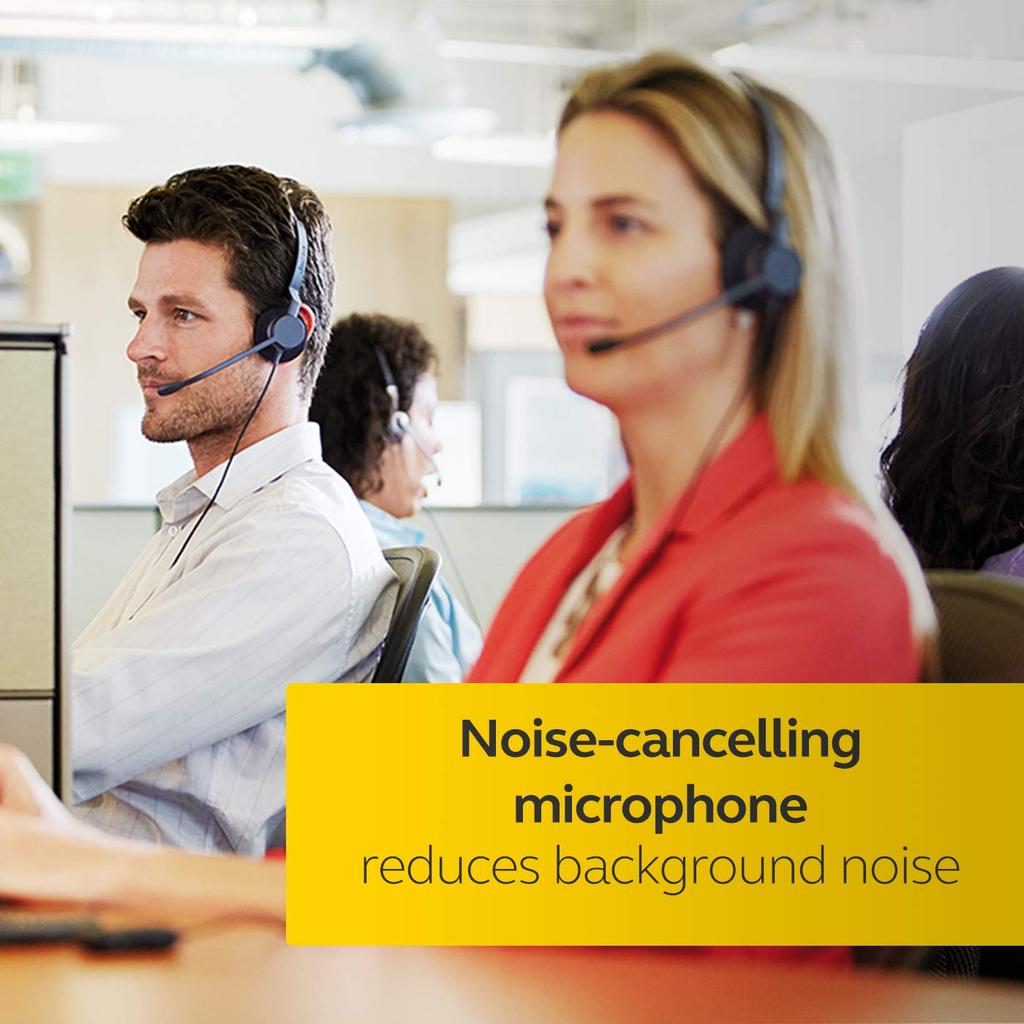 GN Audio Japan Jabra BIZ 2300 MS USB Duo 2399-823-109